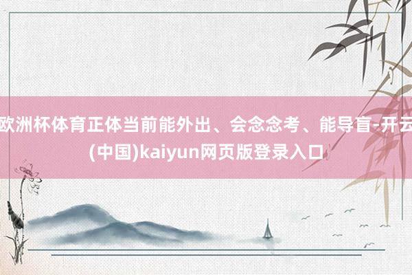 欧洲杯体育正体当前能外出、会念念考、能导盲-开云(中国)kaiyun网页版登录入口