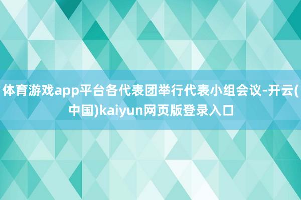 体育游戏app平台各代表团举行代表小组会议-开云(中国)kaiyun网页版登录入口