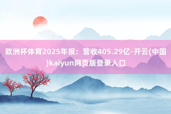 欧洲杯体育2025年报：营收405.29亿-开云(中国)kaiyun网页版登录入口
