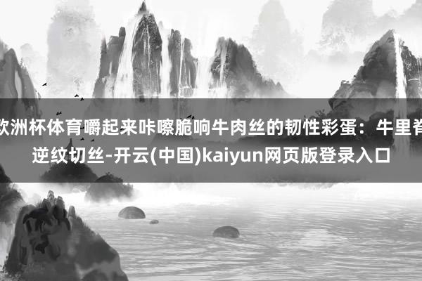 欧洲杯体育嚼起来咔嚓脆响牛肉丝的韧性彩蛋：牛里脊逆纹切丝-开云(中国)kaiyun网页版登录入口