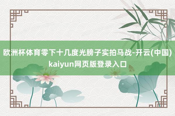 欧洲杯体育零下十几度光膀子实拍马战-开云(中国)kaiyun网页版登录入口